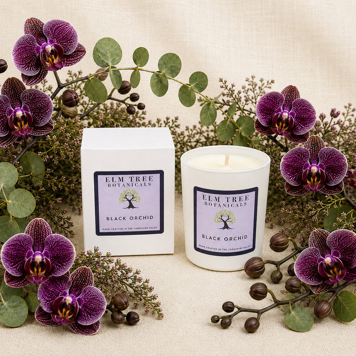 A white jar candle and its matching box from Elm Tree Botanicals, labeled Black Orchid, styled with purple orchids and green eucalyptus on a beige textured background.