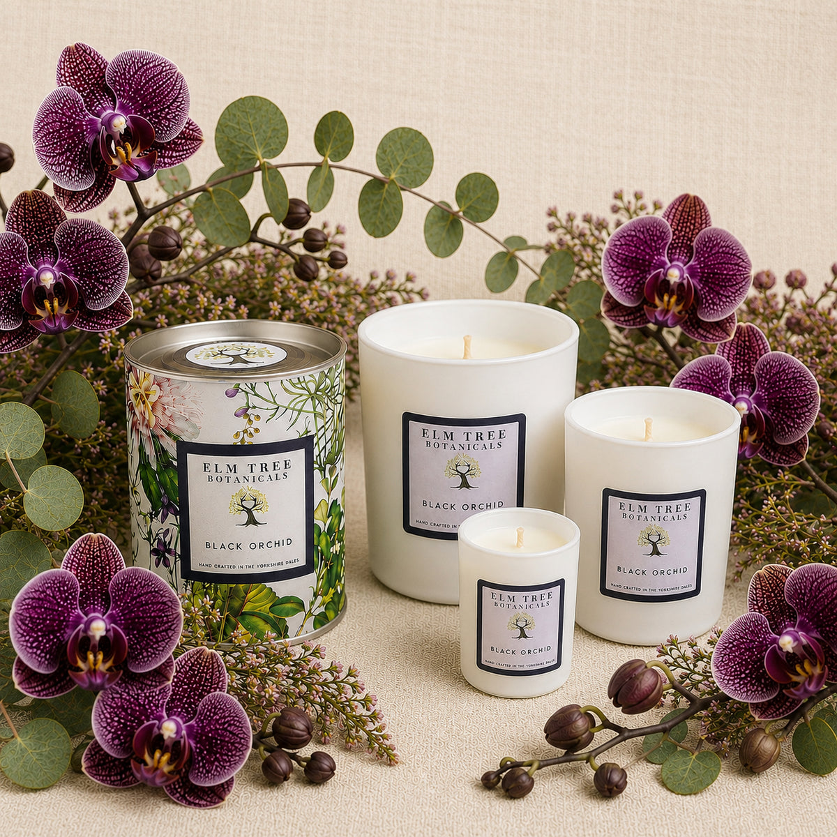 Elm Tree Botanicals Black Orchid candles with purple orchids and eucalyptus leaves on a beige background