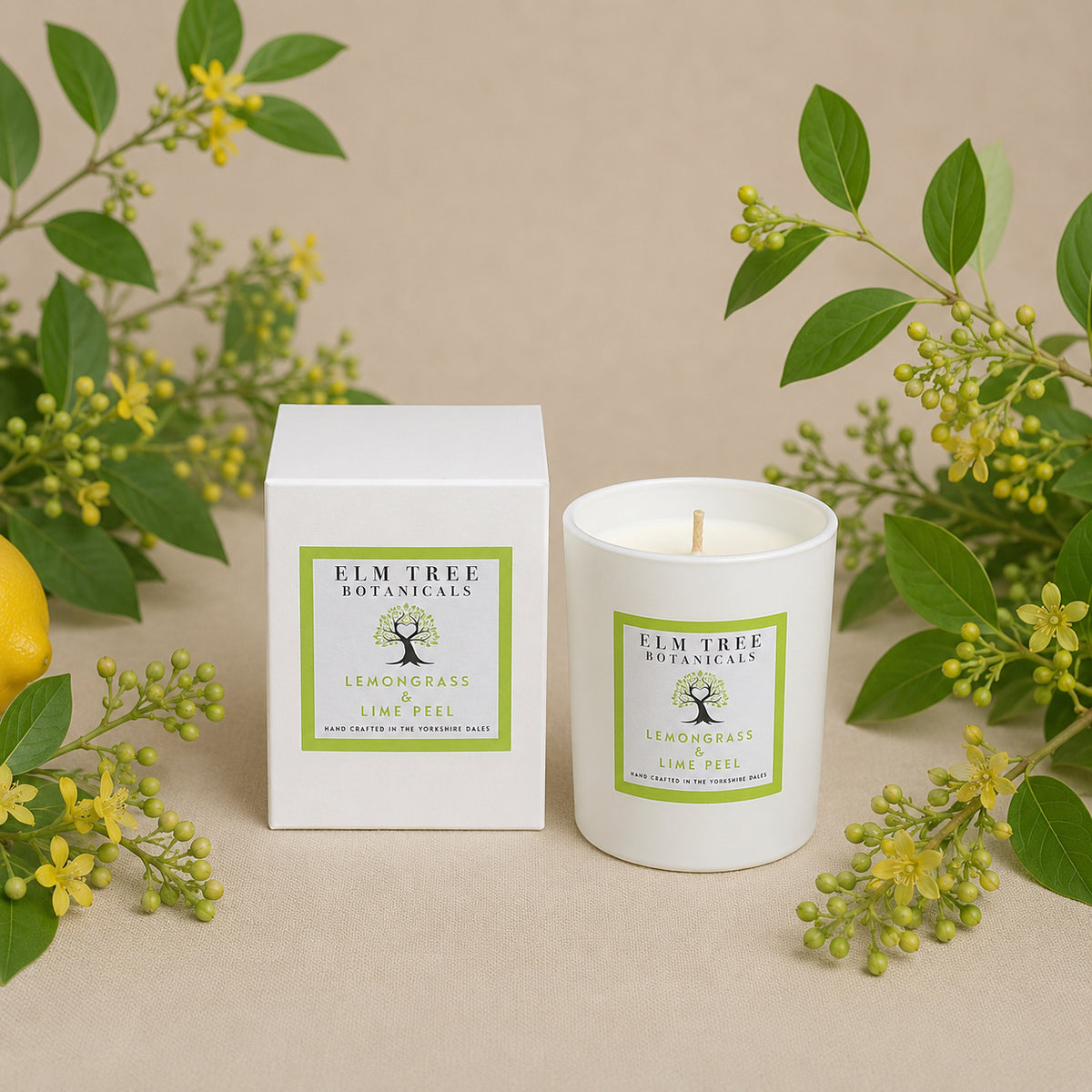 Elm Tree Botanicals candle and packaging with greenery in the background