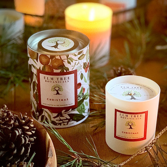 Christmas Candles - Medium in tin & Small with seeded dust cover
