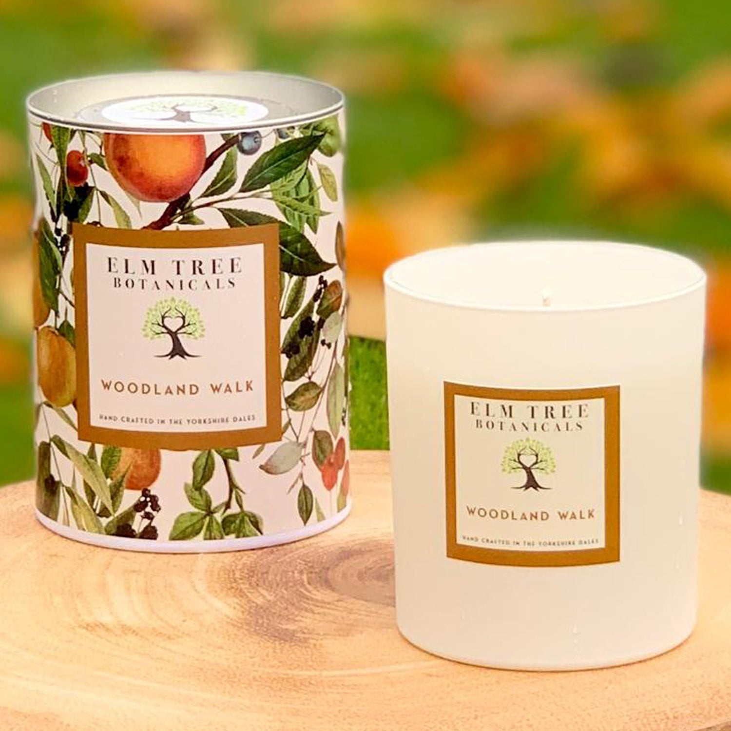 Autumn Collection