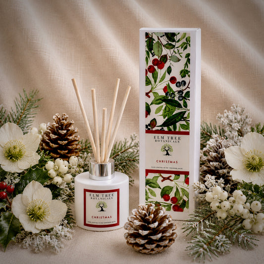 CHRISTMAS DIFFUSER