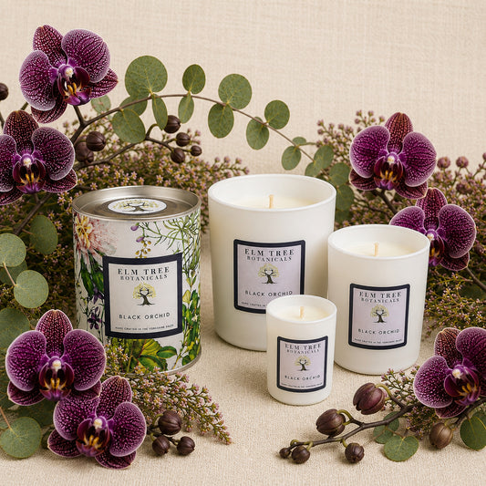 Elm Tree Botanicals Black Orchid candles with purple orchids and eucalyptus leaves on a beige background