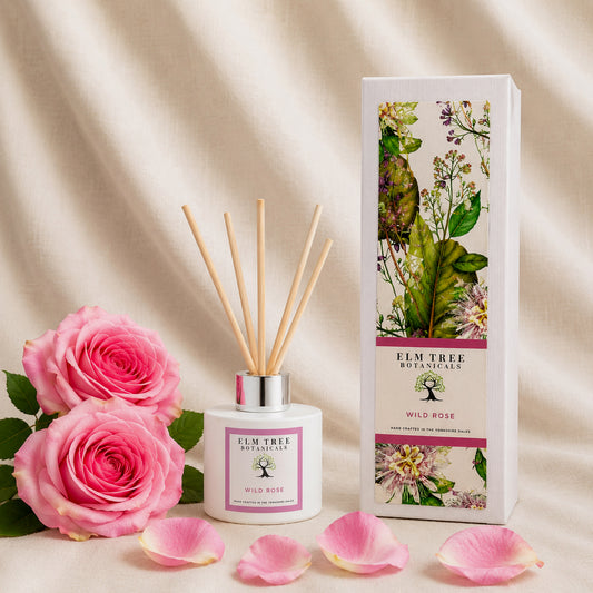WILD ROSE DIFFUSER