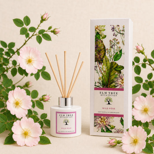 WILD ROSE DIFFUSER