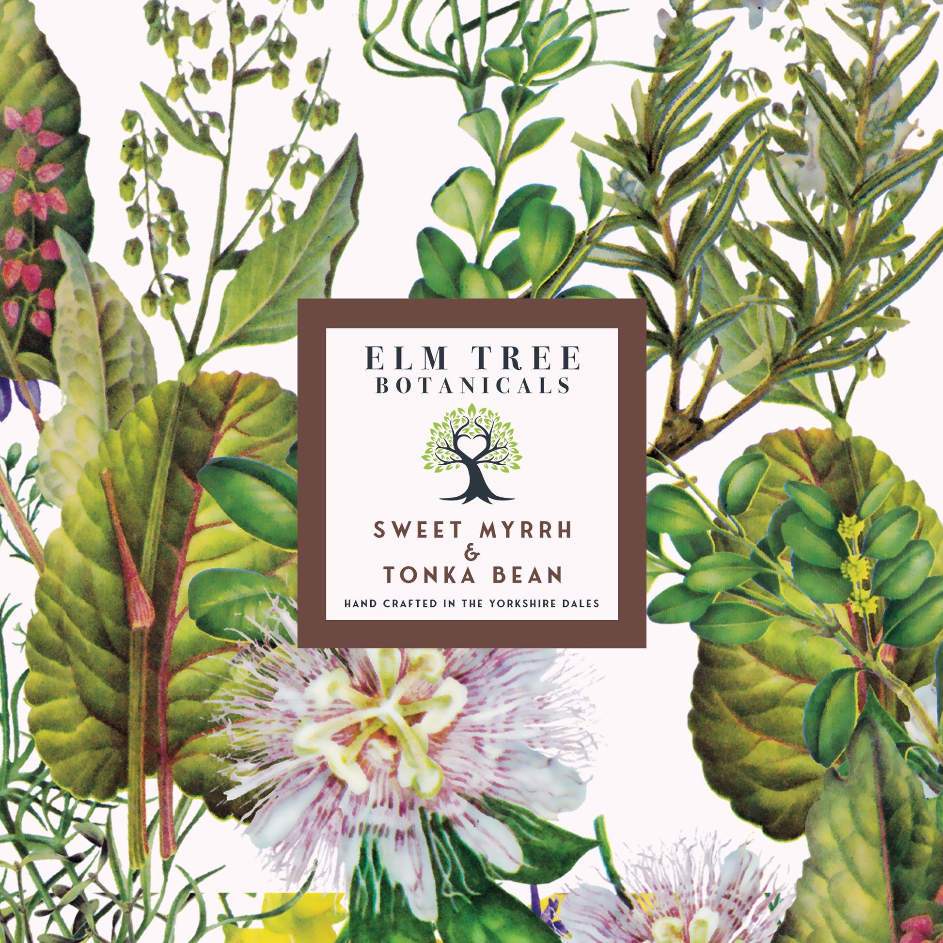 Sweet Myrrh & Tonka Bean Label